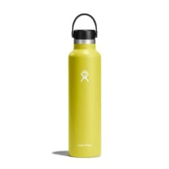Hydro Flask 24 Oz Standard Mouth Water Bottle 33 Hydro Flask 24 Oz Standard Mouth Water Bottle -Outdoor Camping Shop s24fs752 cactus straighton
